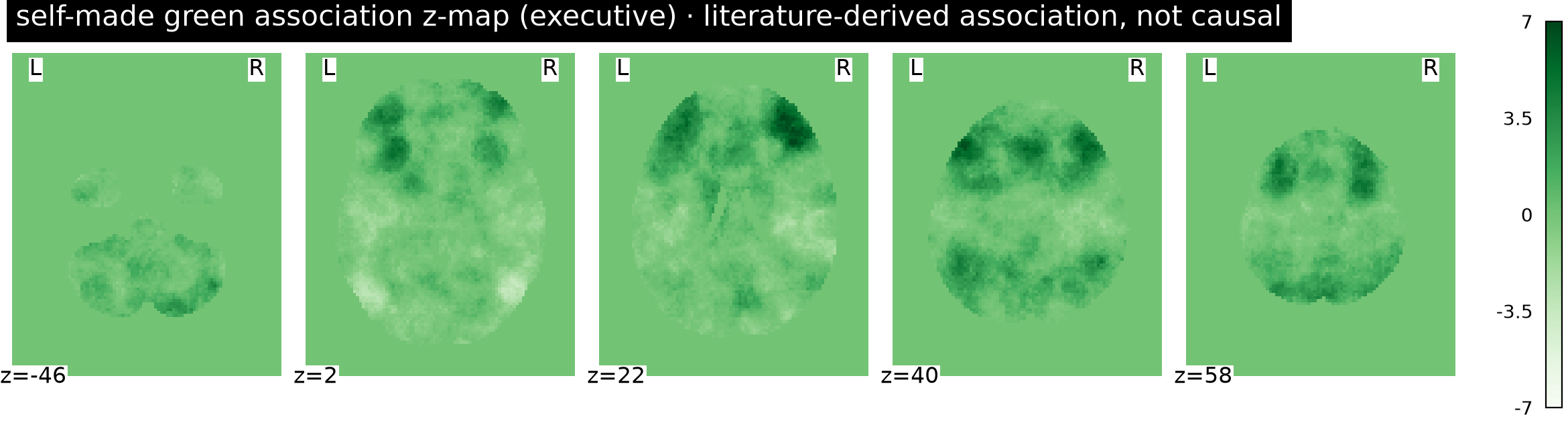association z-map reference (green) · association, not causal